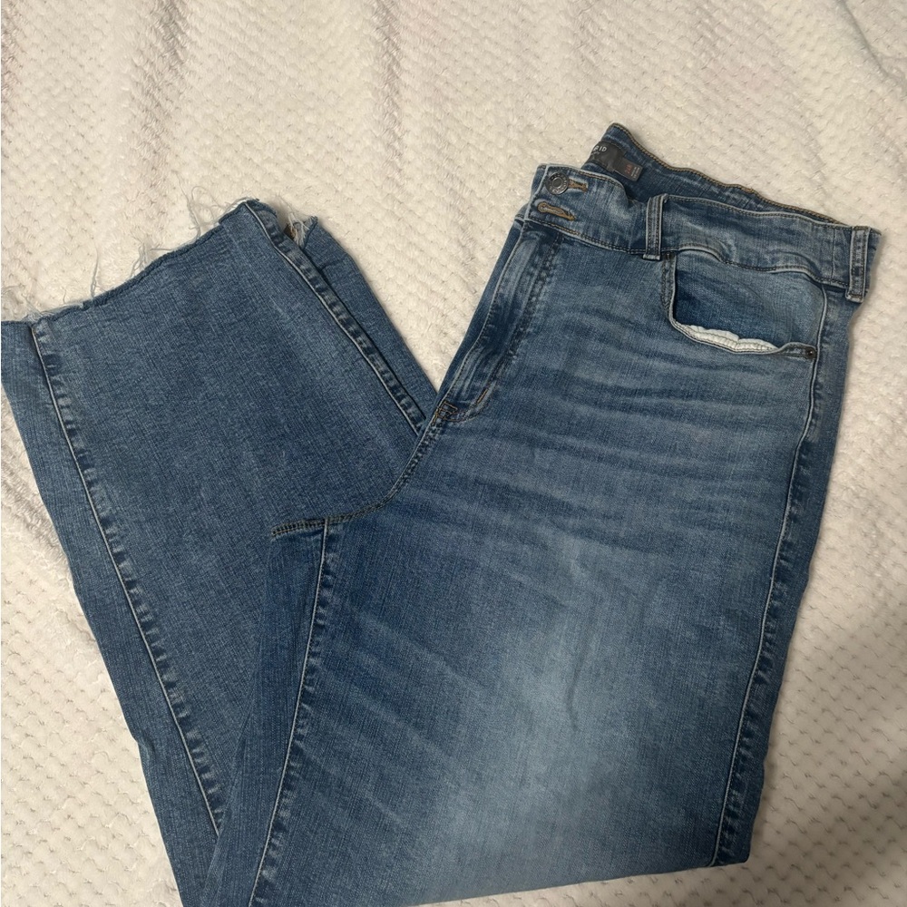 Torrid Classic Blue Straight Jeans